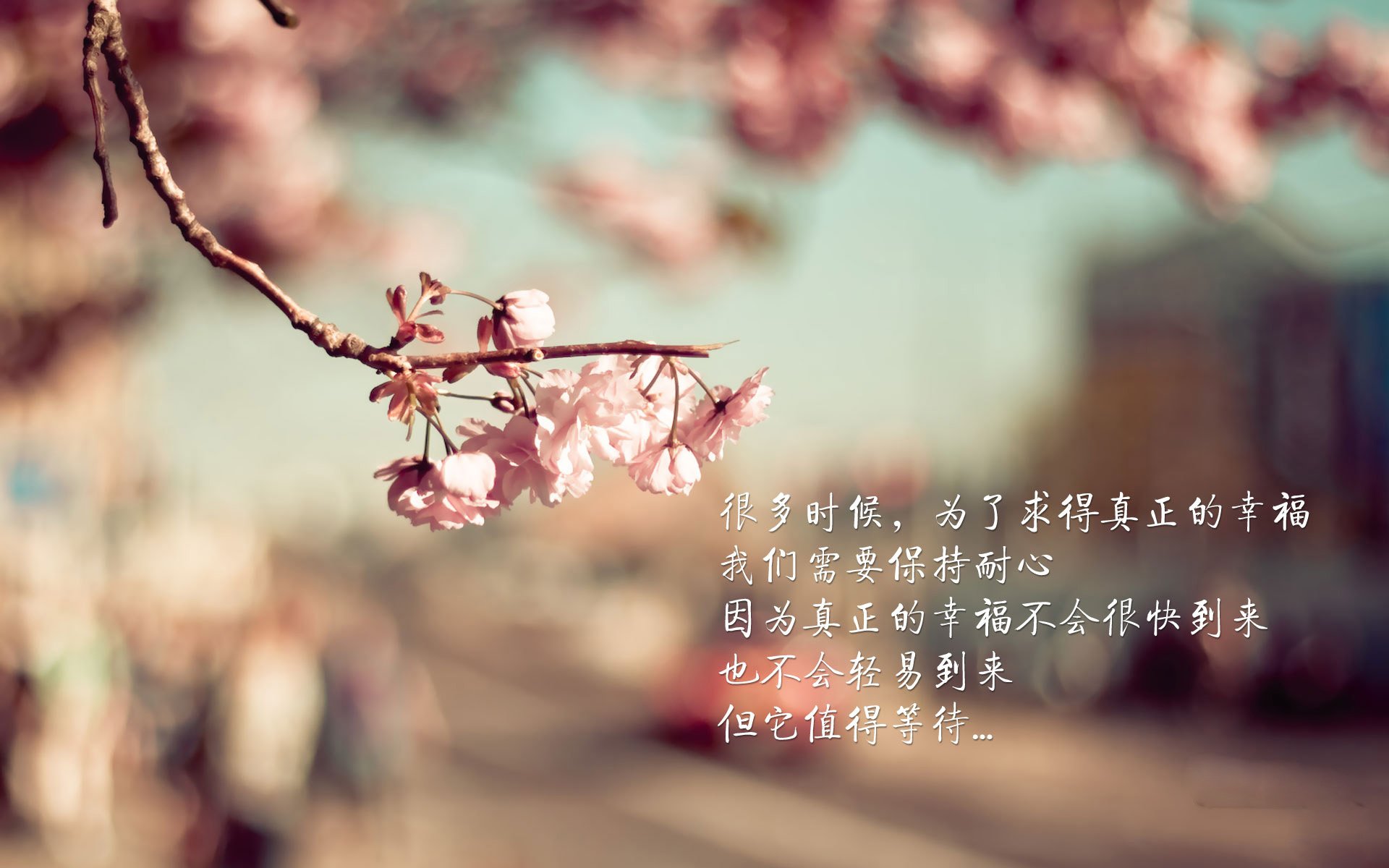 逆境中的“魂斗士”——那些战胜困难的英雄们