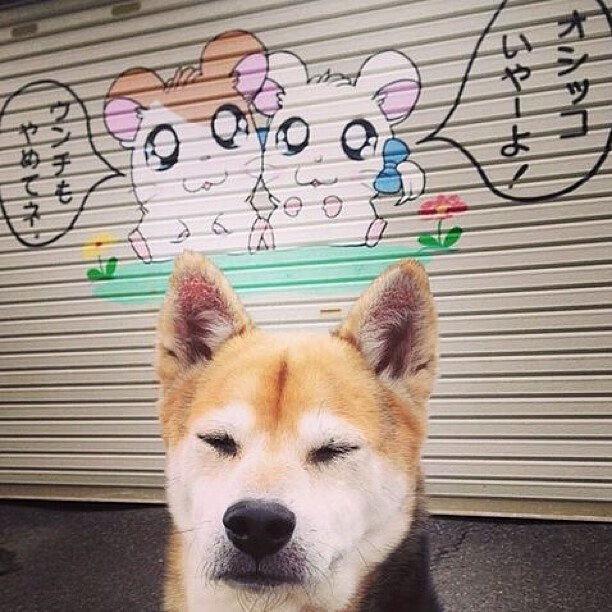 九游娱乐官网 (JIUYOU)-浙江广厦新援融入球队进展顺利，浙江广厦引援最新