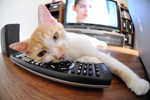 九游(jiuyou)官方网站-中超边后卫反向跑动与补位效率数据整合，中超 左后卫