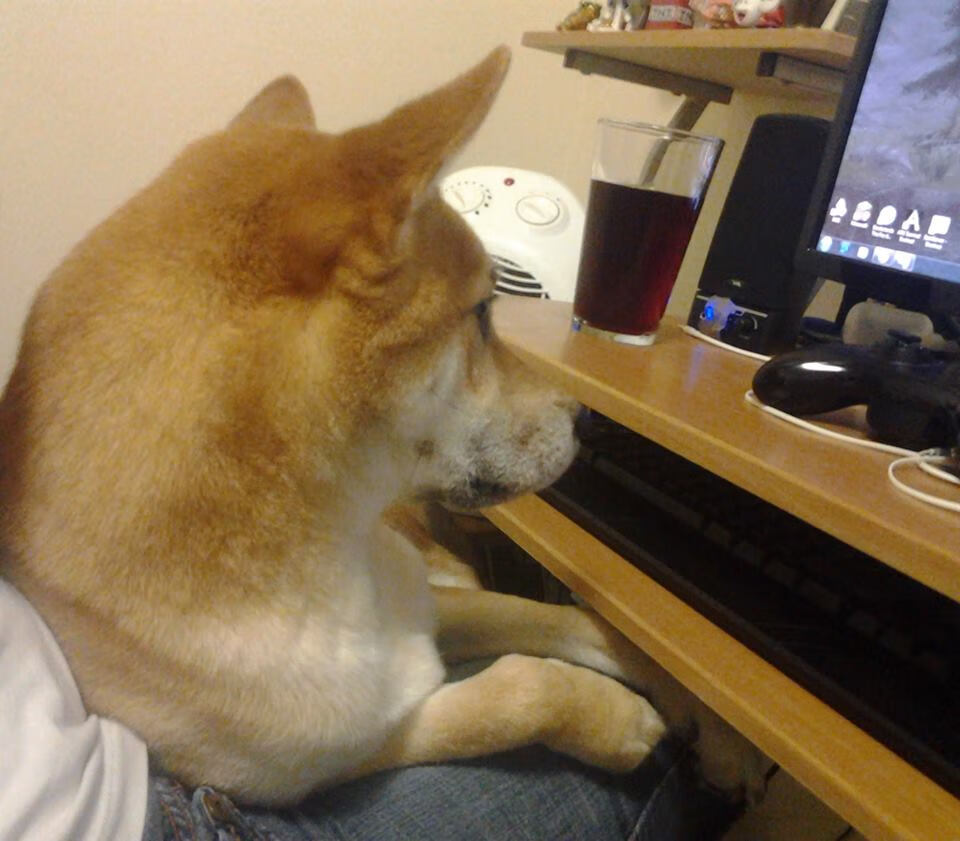 校园体育文化对学生创新能力的促进机制,校园体育文化对大学生体育精神的培养