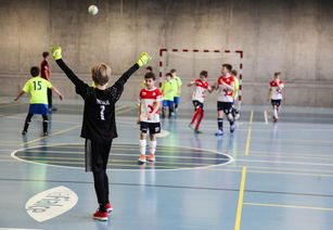 九游官网下载电脑版-高光时刻：本赛季五大联赛的经典比赛瞬间，五大联赛上赛季排名