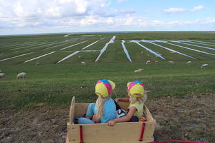 JiuyouAPP下载-青少年足球训练方法现代化，青少年足球技术