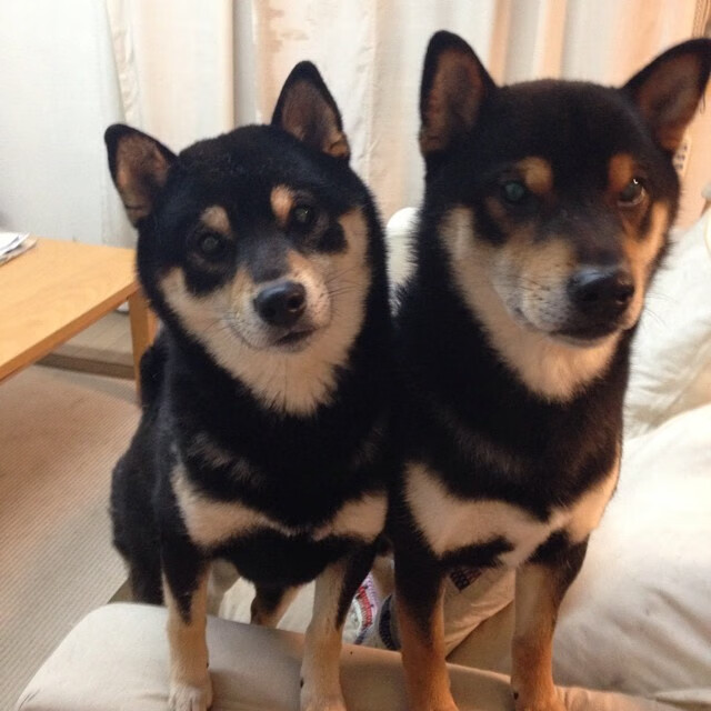 九游(jiuyou)官方网站-阿森纳边中结合打出犀利配合，阿森纳 边锋