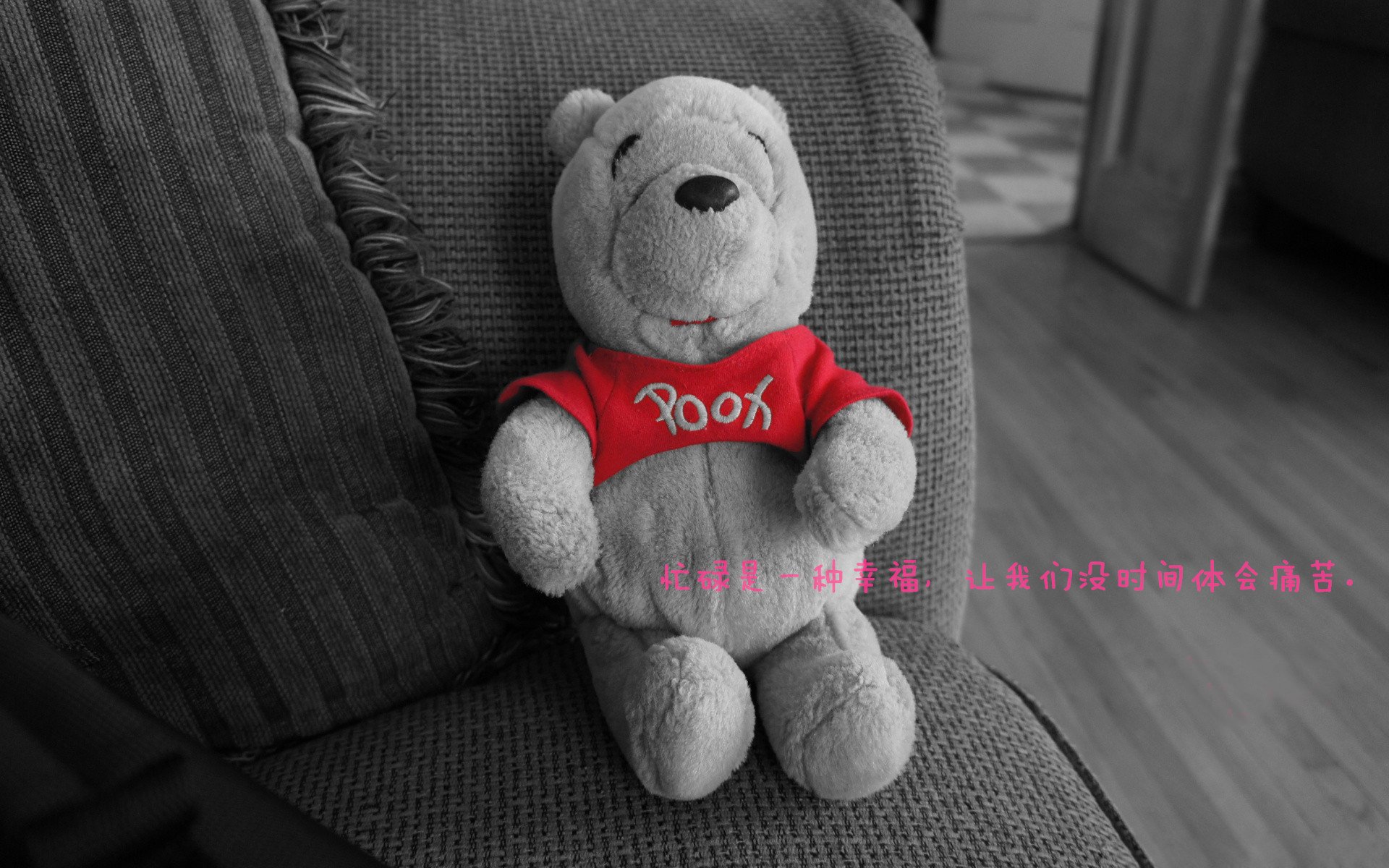 CBA球队加强球员心理健康管理提升比赛状态稳定性，cba球员的日常训练