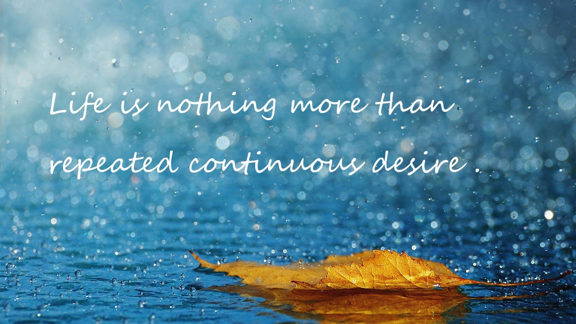 九游网-东契奇内外兼修带领独行侠稳住局势，东契奇39分独行侠再胜快船