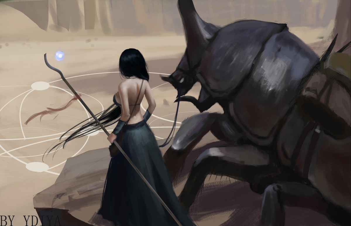 主力球员表现稳定,多球员贡献进球,球队的主力是什么位置