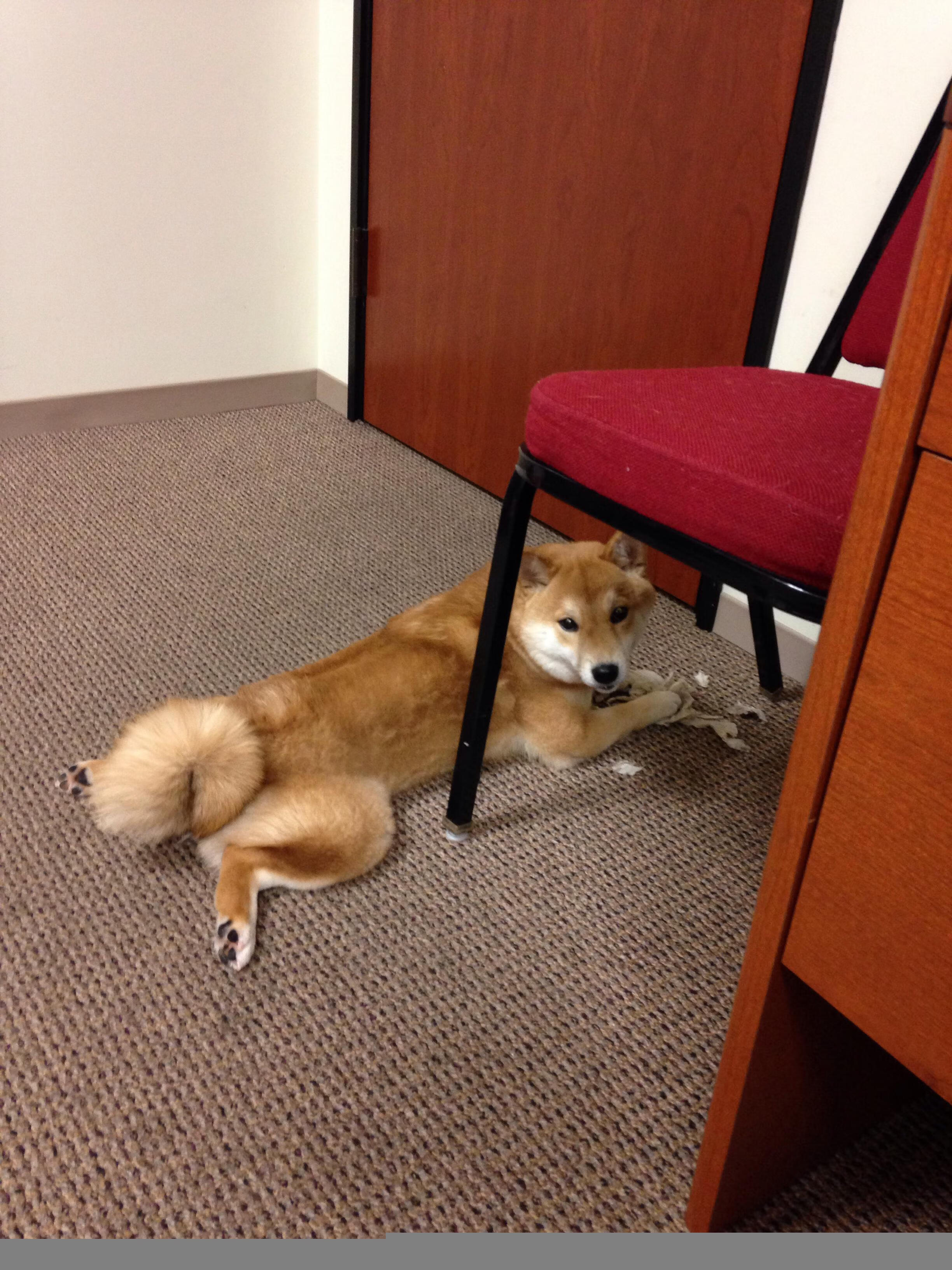 哈登强调团队配合优先于个人得分,哈登的战队