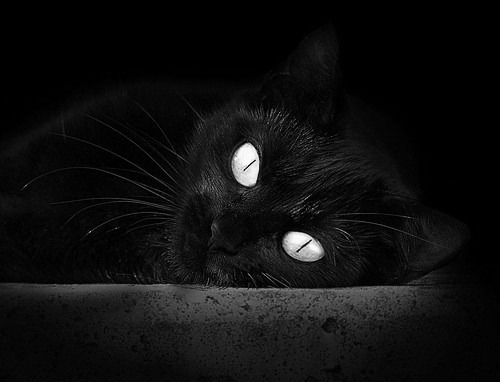 九游娱乐(jiuyou)官网-队内多位球员获得技术进步奖表彰其在赛季中持续提升表现，球队奖励制度